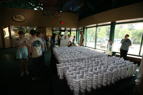 Large display of white cups arranged in rows inside a building with people viewing them.
