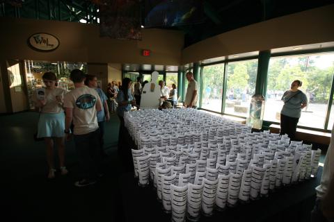 Large display of white cups arranged in rows inside a building with people viewing them.