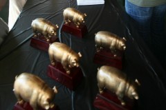 Pigs